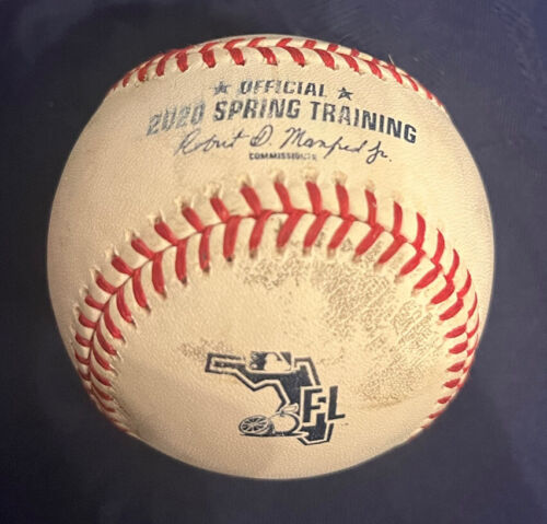 Baseball d'occasion 2020 Toronto Blue Jays Spring Training Pamplemousse League BP - Photo 1 sur 1