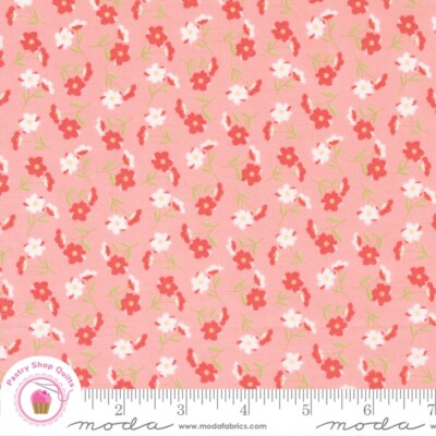 Moda SUNWASHED 29162 22 PINK Coral Floral COREY YODER Quilt Fabric