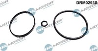 Dr.Motor Automotive DRM0293S Dichtungssatz FüR ÖLküHler