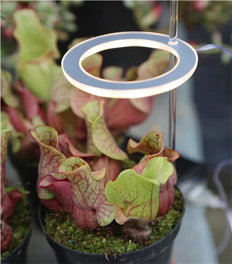 LED Grow Light Full Spectrum Phyto Grow Lamp USB Phyto Lamp for Plants Growth Li - Image 3 of 4