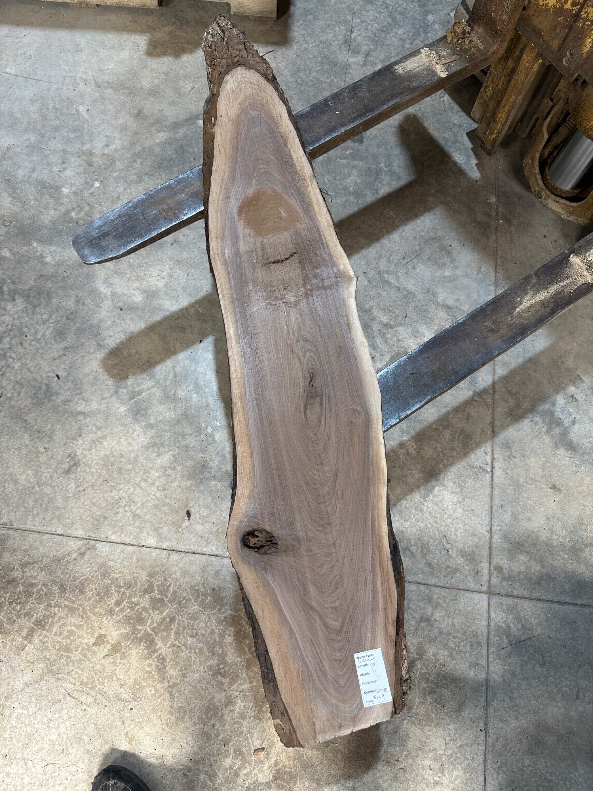 Black Walnut Live Edge Slab #2490 Unfinished Free Shipping