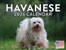 Havanese Calendar 2026 Monthly Wall Calender 12 Month 12x18