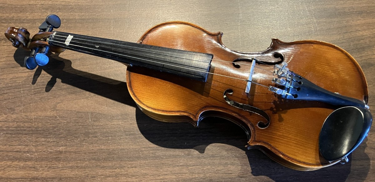 Skylark Brand 1/4 Size Violin | eBay