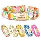 Custom Dog Collar Nylon Personalized Metal Name Plate for Small Medium Large Dog
