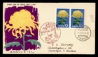 DR WHO 1961 JAPAN FDC FLOWER PAIR M81192