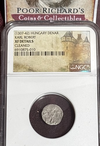 Karl Robert (Charles 1) Holy Roman Empire 1307-42 Silv Denar NGC VF Details CC98