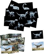 16 Animal X-Ray Set, Educational Science Kit for Kids to Explore Bone Structu...