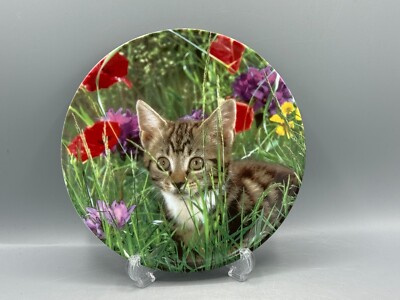 Limited Edition Crestley Kitten Kapers Lord on the Jungle Cat Teller (#-17)