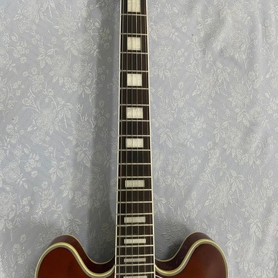 Semi-hollow body Electric Guitar Rosewood fretboard HH pickups US