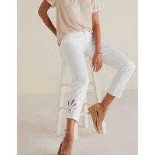 SOFT SURROUNDINGS Ultimate Denim Jeans 16 Straight Leg Crop Cutwork Embroidery