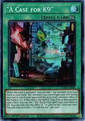 A Case for K9 JUSH-EN040 Super Rare 1st Edition Justice Hunters