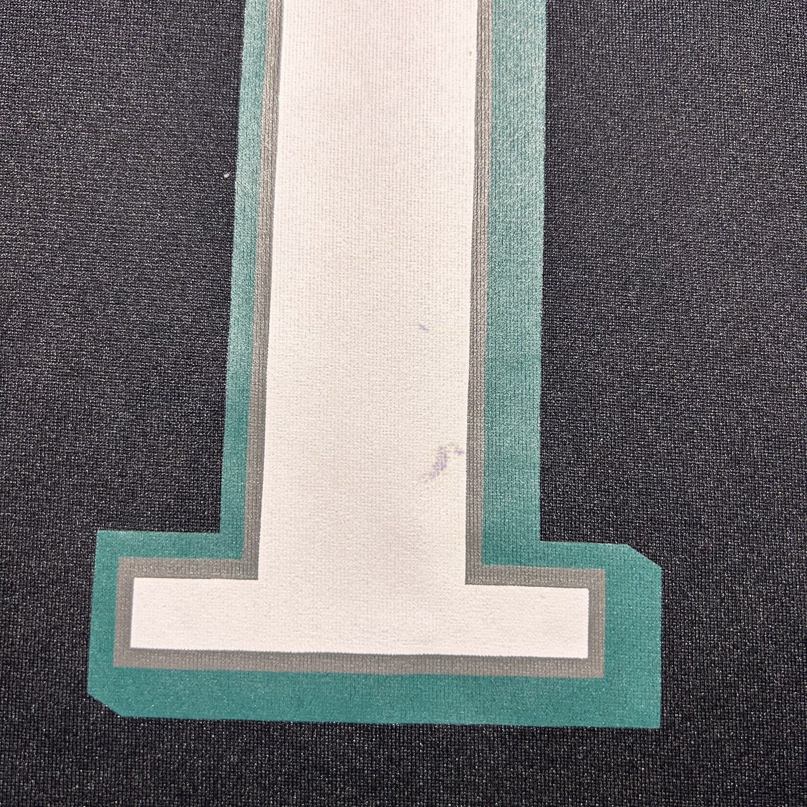 Picture 10 of 13