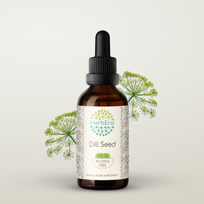 HerbEra Dill Seed Alcohol-FREE Tincture, Organic Dill Seed (Anethum Graveolens)
