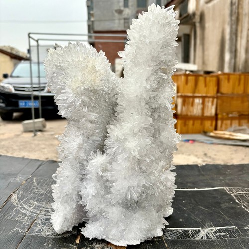 22.04LB Natural White Chrysanthemum Clear QUARTZ Crystal Cluster Point Specimen - 第 1/15 張圖片