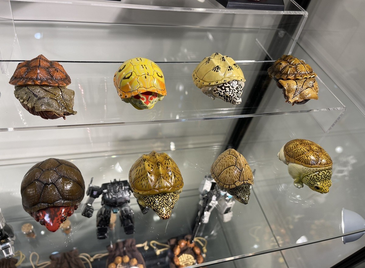 Animal Planet A Series Of Laugh And Grow Fat No.8 Turtles Pack Of