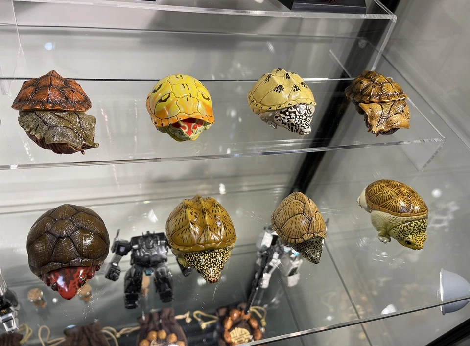 Animal Planet Una Serie De Risa Y Grasa Nº8 Tortugas Pack De 8 Figuras Foto 2 de 4