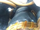 Bild 11 von 12