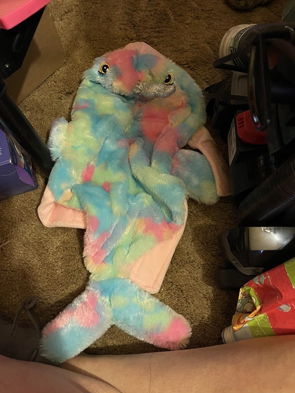 fish dog costume