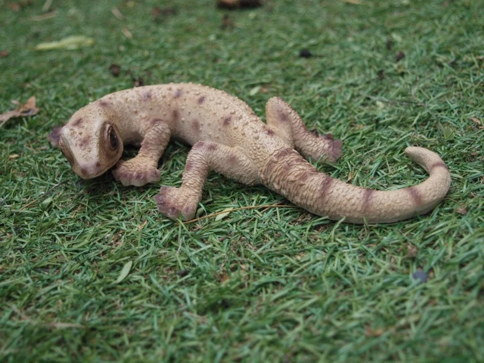 Geckos Deko Figur Reptilien Echse 2 im SET lebensecht wetterfest Eidechse Neu - Bild 3 von 4