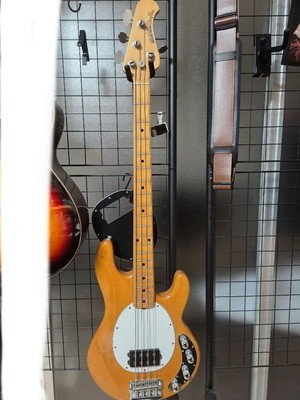 MUSIC MAN StingRay / E-Bassgitarre mit SC