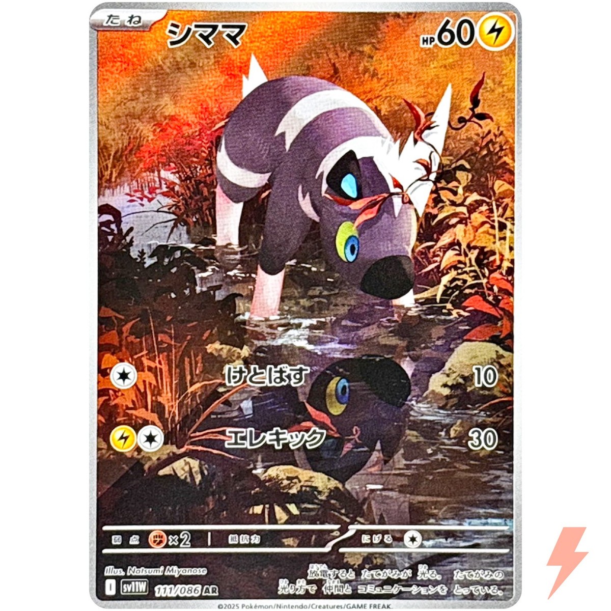 Blitzle AR 111/086 SV11W White Flare - Pokemon Card Japanese