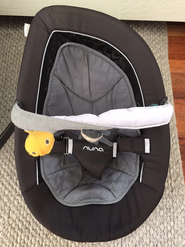 baby bunting nuna leaf