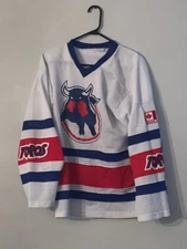 Vintage Toronto Torros Small Jerico Athletic #44 Hockey Jersey
