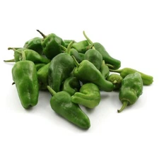 Padron Pepper Seeds | Heirloom / Non-GMO | Free Shipping | Seed Store | 1001