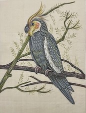 Peinture sur soie oiseau calopsitte ou cockatiel perroquet Australie