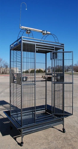 Large Double Ladders Open PlayTop Parrot Cage For Cockatiel Macaw Conure Conure