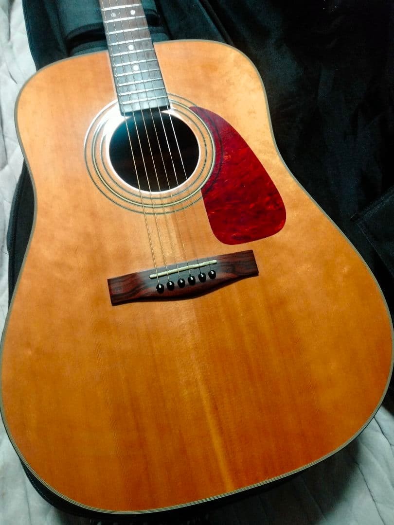 Fender Top Single Made in Korea DG21S Dreadnought | eBay