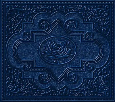 Ryan Adams - Cold Roses ZUSTAND SEHR GUT