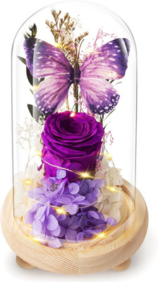 Forever Flowers Preserved Roses Prime Delivery, with Light in Glass Dome for Mom