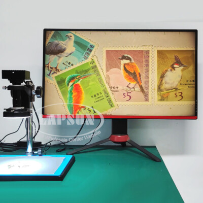 Wide-Field 4K HDMI USB GE LAN IMX334 60FPS Industry Microscope C-Mount Camera