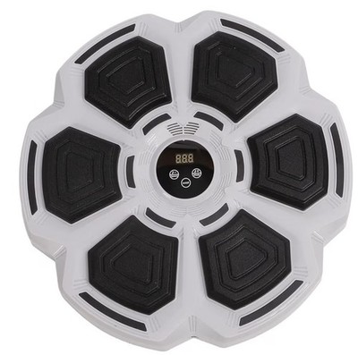 Diydeg Boxing Target With Music Function, Interactive Boxing Trainer For Home