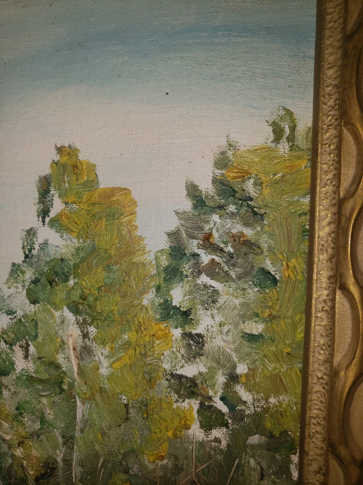Picture 12 of 15