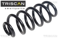 Triscan 875014131 Fahrwerksfeder FüR Nissan FüR Renault