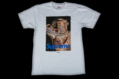 BRAND NEW FW16 SUPREME UNDERCOVER ANATOMY TEE WHITE M MEDIUM | eBay