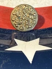 Pre Civil War 💥 🇺🇸 💣 Big Robinson Flower Button Two Piece