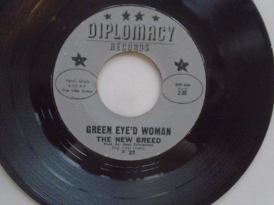 TIMMOTHY SCHMIT-EAGLES_1ST BAND-THE NEW BREED-DIPLOMACY RECORD-GREEN EYED WOMAN-