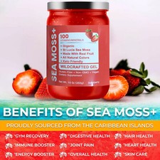 Irish Sea Moss Gel - Wildcrafted Superfood Seamoss Gel - Strawberry 2 Packs US