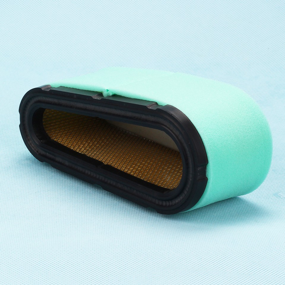 Filtre A Air Briggs And Stratton 496894 |   Webshop