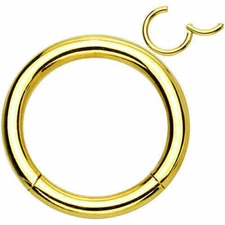 14G GOLD Steel Titanium HINGED Segment Nose Ring Septum Clicker Daith Belly Hoop