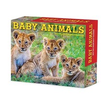 Baby Animals 2027 5.4" x 6.2" Box Calendar