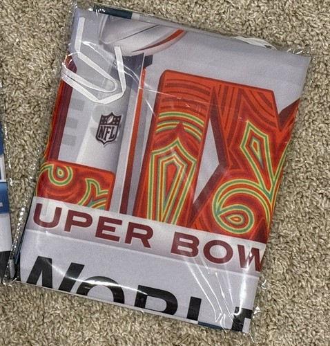 Philadelphia Eagles 2024 LIX Super Bowl Champions Banner / Flag 2’ x 3 ...
