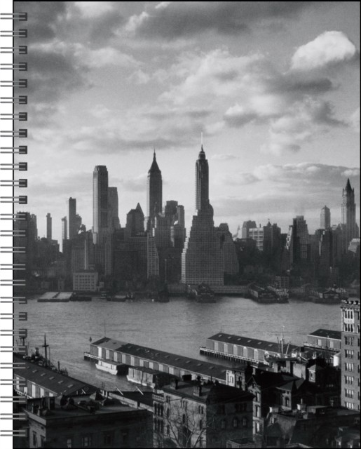 New York in Art 12-Month 2027 Engagement Calendar by  The Met... - 9781419789687 - Image 2