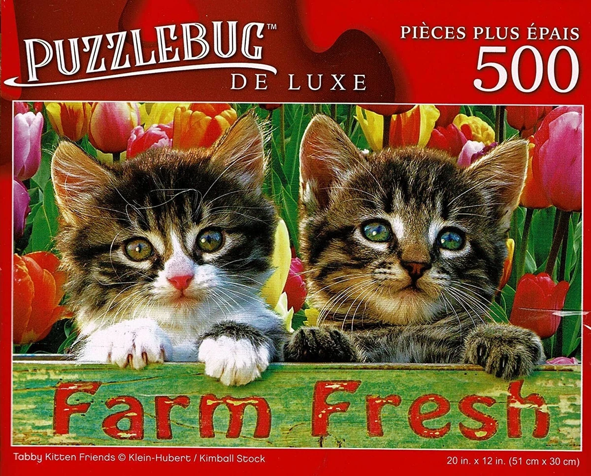 Tabby Kitten Friends 500 Pieces Deluxe Jigsaw Puzzle eBay