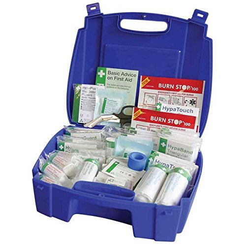 Набор для оказания первой помощи по технике безопасности Evolution British Standard в кейсе, большой, В