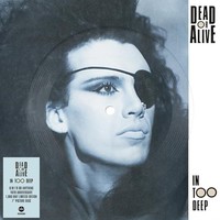 Dead Or Alive - In Too Deep Picture Disc - Vinyl Record 7 - G3Z