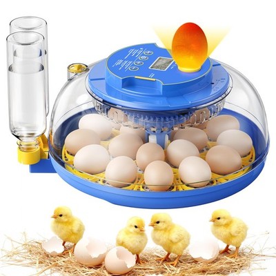 18 Egg Incubators for Hatching Eggs, 360° 18 Egg, 18 Incubator - Blue